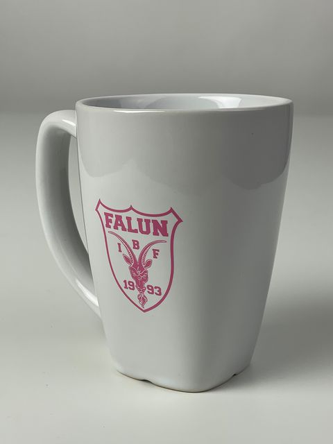 IBF Falun Mugg